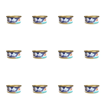 1773272260780-6676-2-x12-ppda6.png