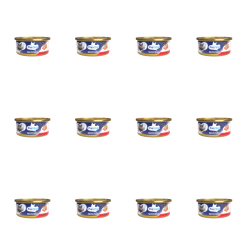 1773272263554-6681-2-x12-6sceg.png