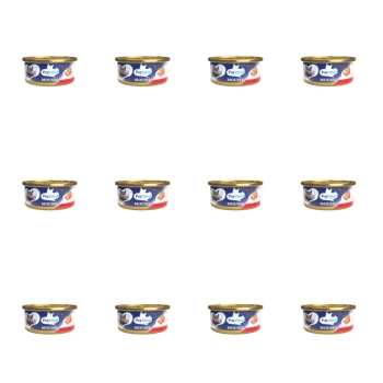 1773272263554-6681-2-x12-6sceg.png