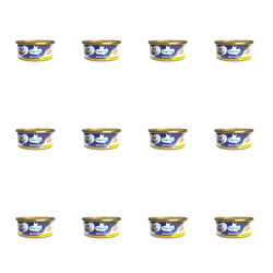 1773272264061-6682-2-x12-1js8uk.png