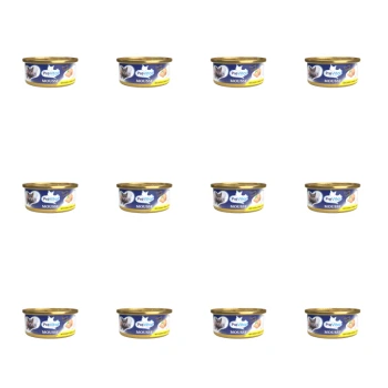 1773272264061-6682-2-x12-1js8uk.png