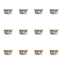 1773272265254-6684-2-x12-wgwz1.png