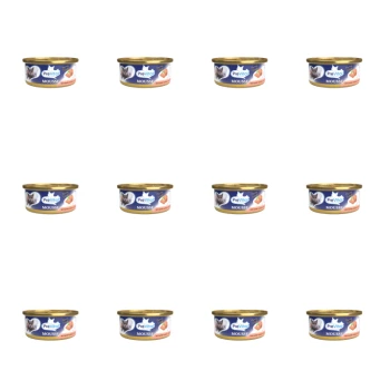 1773272265254-6684-2-x12-wgwz1.png