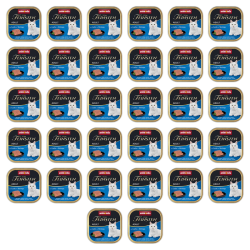 1773272759034-7378-2-x32-93i0gl.png