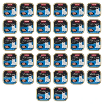 1773272759034-7378-2-x32-93i0gl.png