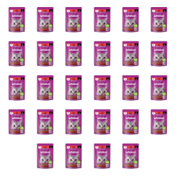 1773273352508-8289-2-x28-4rjw4a.png