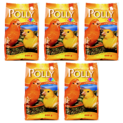 1773273958078-9128-2-x5-eoaqdo.png