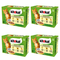 1773273969820-9142-2-x4-m6pk3.png