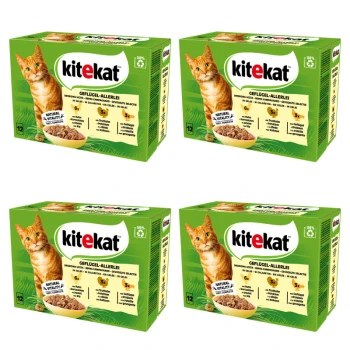 1773273969820-9142-2-x4-m6pk3.png