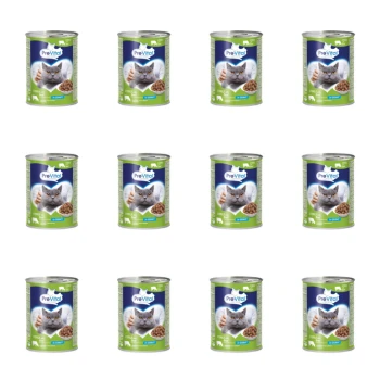 1773273970847-9143-2-x12-0qaejo.png