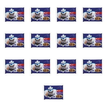 1773273973889-9147-2-x13-knhll.png