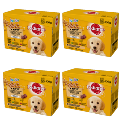 1773273983391-9158-2-x4-igxno6.png