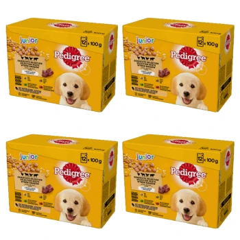 1773273983391-9158-2-x4-igxno6.png
