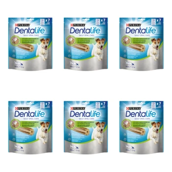 1773274043261-9238-2-x6-os1zh.png
