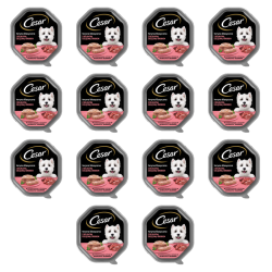 1773274048351-9244-2-x14-bb56p.png
