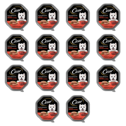 1773274049062-9245-2-x14-731wy6.png