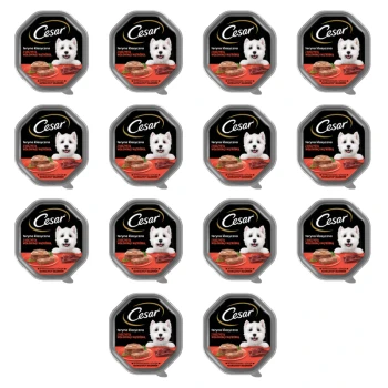 1773274049062-9245-2-x14-731wy6.png