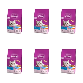 1773274268266-9555-2-x6-dm9ncs.png