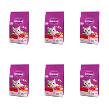 1773274268948-9556-2-x6-gjwcg.png