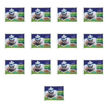 1773274761228-10303-2-x13-miz664.png