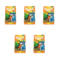 1773275169522-10900-2-x5-xvkcg.png