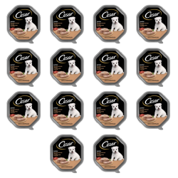 1773275424598-11290-2-x14-jflg9c.png
