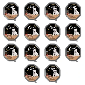 1773275424598-11290-2-x14-jflg9c.png