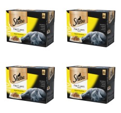 image-editor%2Fmultipack%2F1777030486721-r71-c1-x4.png