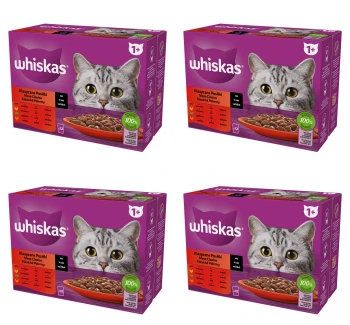 image-editor%2Fmultipack%2F1777030560622-r158-c1-x4.png