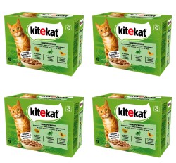 image-editor%2Fmultipack%2F1777030778506-r370-c1-x4.png