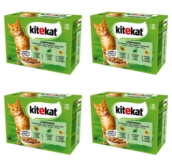 image-editor%2Fmultipack%2F1777030778506-r370-c1-x4.png