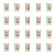 1773275948574-12014-2-x20-hywcej.png