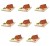 image-editor%2Fmultipack%2F1777031336723-r926-c1-x8.png