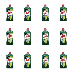 1773268668711-1954-2-x12-ilkja8i.png