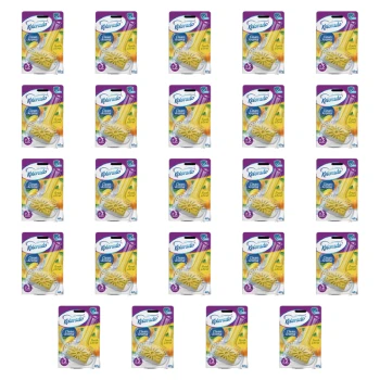 1773269653317-3295-2-x24-zuqcot.png