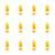 1773269918683-3648-2-x12-75xdrr.png