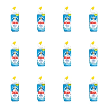 1773273625598-8664-2-x12-44pvqt.png