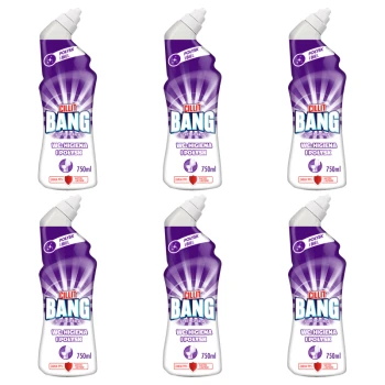1773273626529-8665-2-x6-aqbodfc7p.png