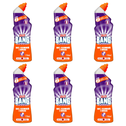 1773273953985-9123-2-x6-5tbola.png