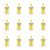 1773275679455-11643-2-x12-druyd5.png
