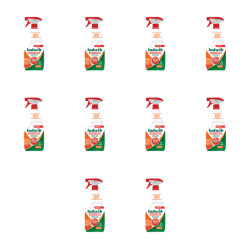 1773276203694-12355-2-x10-t2lvka3.png