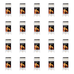 1773268564140-1803-2-x20-hilzho.png