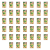 1773268598519-1851-2-x40-jkv1l.png