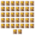 1773269156244-2643-2-x37-oquoch.png