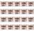 image-editor%2Fmultipack%2F1777033806622-r3259-c1-x20.png