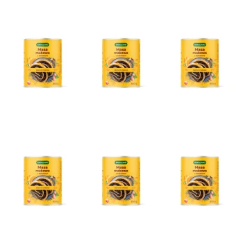 1773267320928-107-2-x6-ppouqf.png