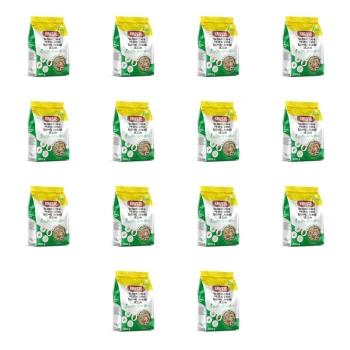 1773270400253-4261-2-x14-vayeiw.png