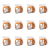 1773270769669-4740-2-x12-bugzck.png