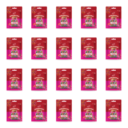 1773272142571-6542-2-x20-icav5g.png