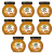 1773267884585-865-2-x8-a4pf9h.png